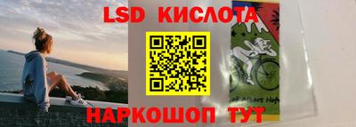 индика Обь