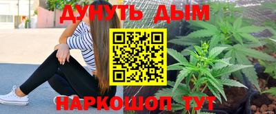 индика Обь