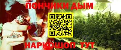 индика Обь