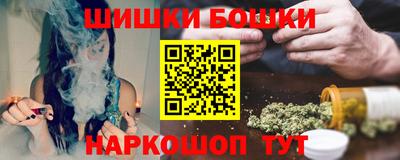 индика Обь