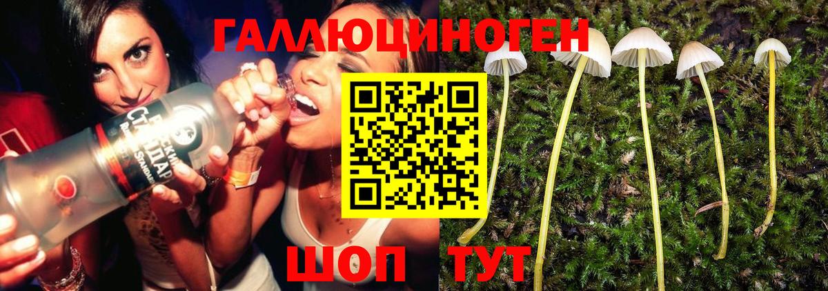 Галлюциногенные грибы прущие грибы  Вход с VPN  Славгород  Галлюциногенные грибы Cubensis 