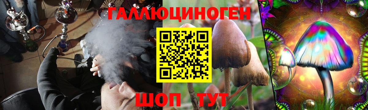 Галлюциногенные грибы мухоморы Славгород